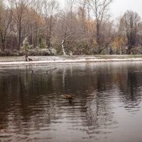 Парк культуры и отдыха Сокольники