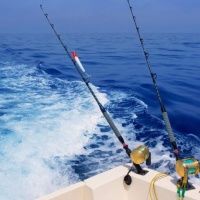 Морская рыбалка на Яхтах и Катерах