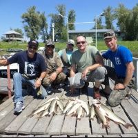 Рыбалка на Волге и Волго-Ахтубинской пойме