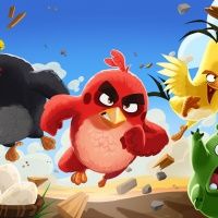 Angry Birds. СБС Мегамолл